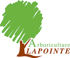 Arboriculture Lapointe