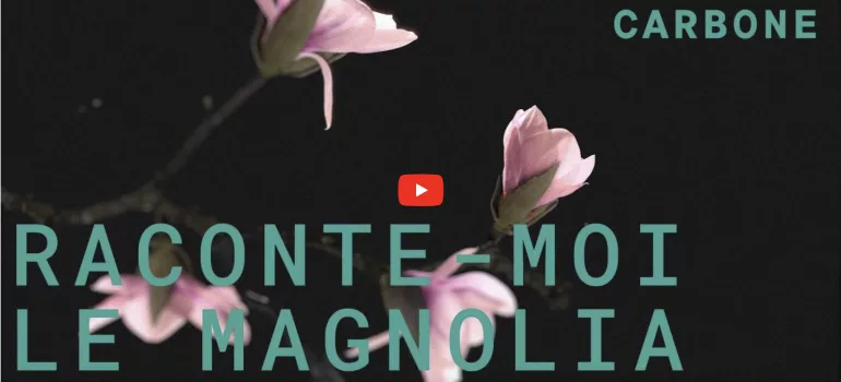 le magnolia